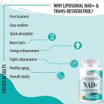 Liposomal NAD+ & Trans-Resveratrol Anti Aging Softgels