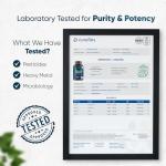 Marine Collagen Capsules - 1170mg Pure Type 1