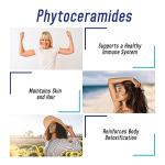 Phytoceramides 700mg - 200 Capsules Daily Supplement