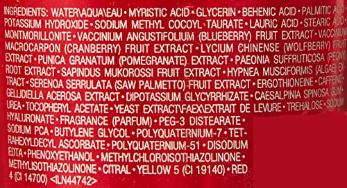 Estee Lauder Pomegranate Radiant Energy Cleansing Foam