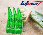 LotUSA Aloe Vera Gel for Face, Body, Hair