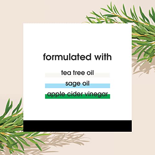 Tea Tree Scalp Treatment for Cleansing and Soothing