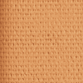 L'Oreal Age Perfect Powder Foundation - Color Options