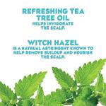 OGX Extra Strength Teatree Mint Scalp Treatment