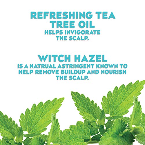 OGX Extra Strength Teatree Mint Scalp Treatment