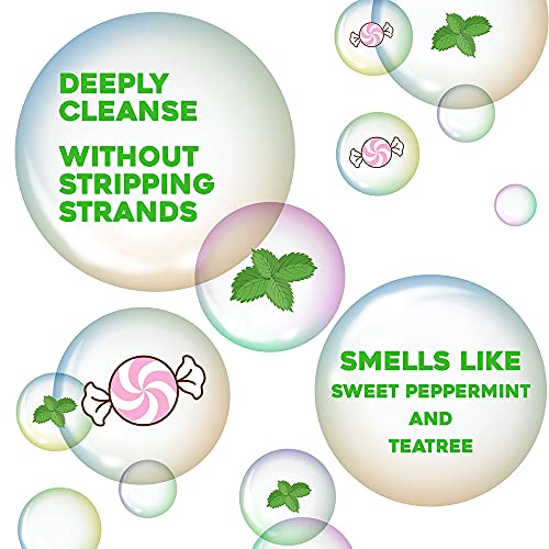 OGX Extra Strength Teatree Mint Scalp Treatment