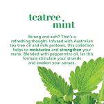 OGX Extra Strength Teatree Mint Scalp Treatment