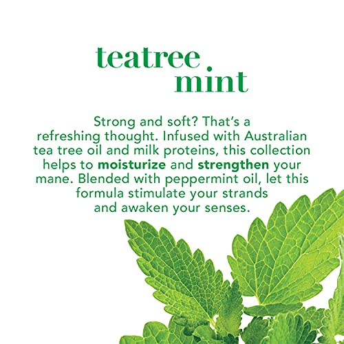 OGX Extra Strength Teatree Mint Scalp Treatment