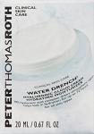 Peter Thomas Roth Water Drench Hyaluronic Cream Mini