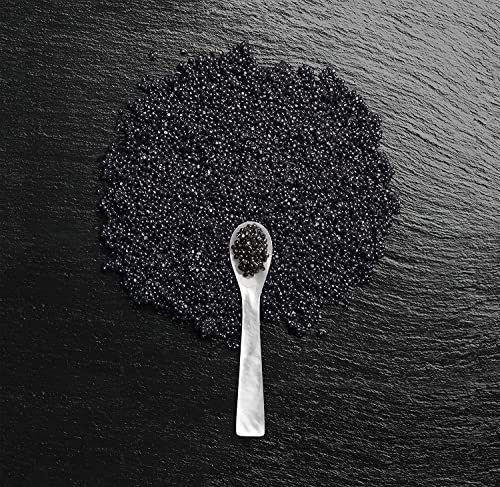 Alterna Caviar Anti-Aging Moisture Shampoo and Conditioner