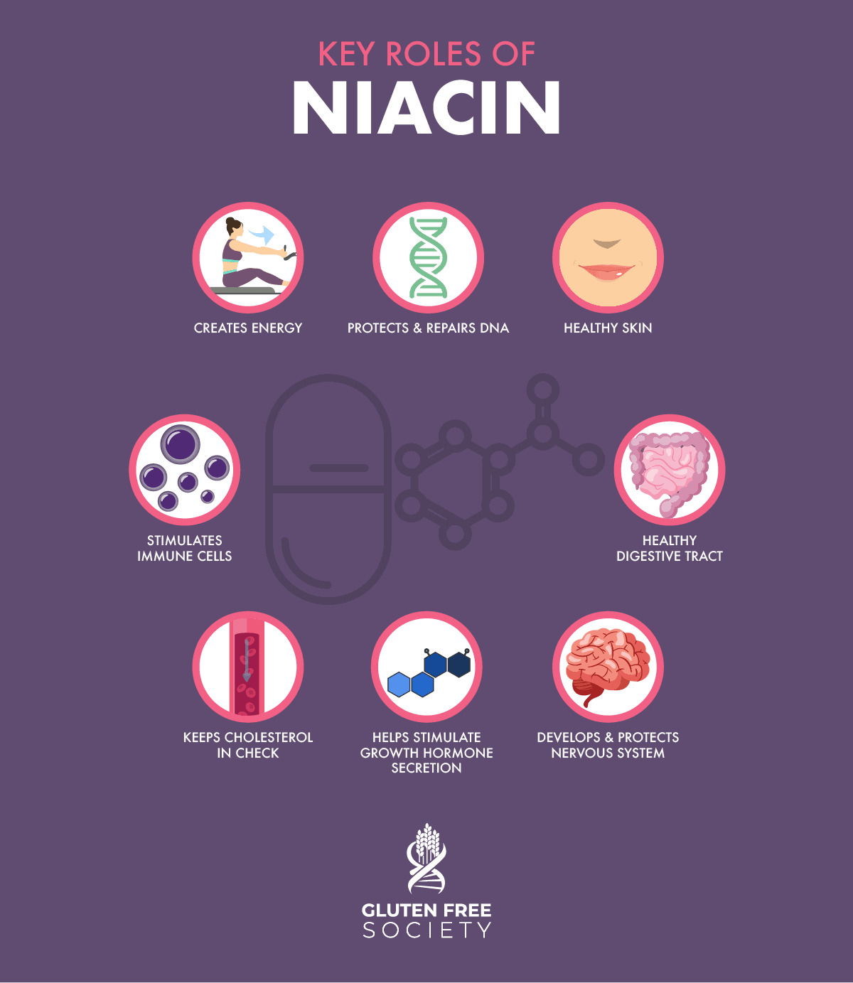 Niacin Vitamin B3 500mg Capsules for Anti-Aging
