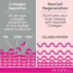 NeoCell Super Collagen with Vitamin C & Biotin