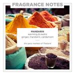 Zents Age-Defying Probiotic Lotion - Mandarin Scent