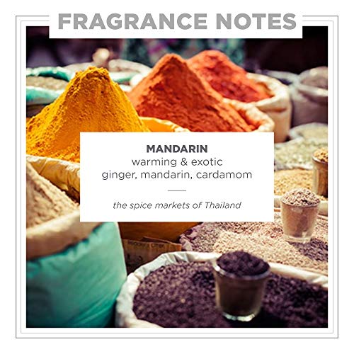 Zents Age-Defying Probiotic Lotion - Mandarin Scent