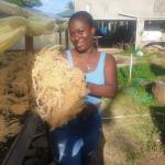 Organic Sea Moss - Dr. Sebi Grade Irish Moss