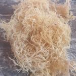 Organic Sea Moss - Dr. Sebi Grade Irish Moss
