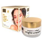 Dead Sea Anti-Wrinkle Night Cream with Collagen