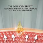 Dead Sea Anti-Wrinkle Night Cream with Collagen