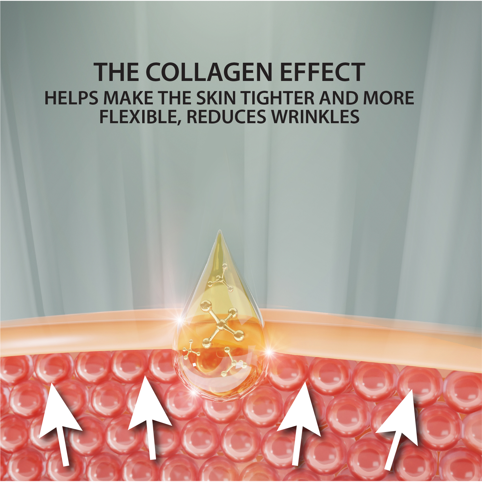 Dead Sea Anti-Wrinkle Night Cream with Collagen