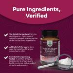 Multi Collagen Complex with Biotin for Men