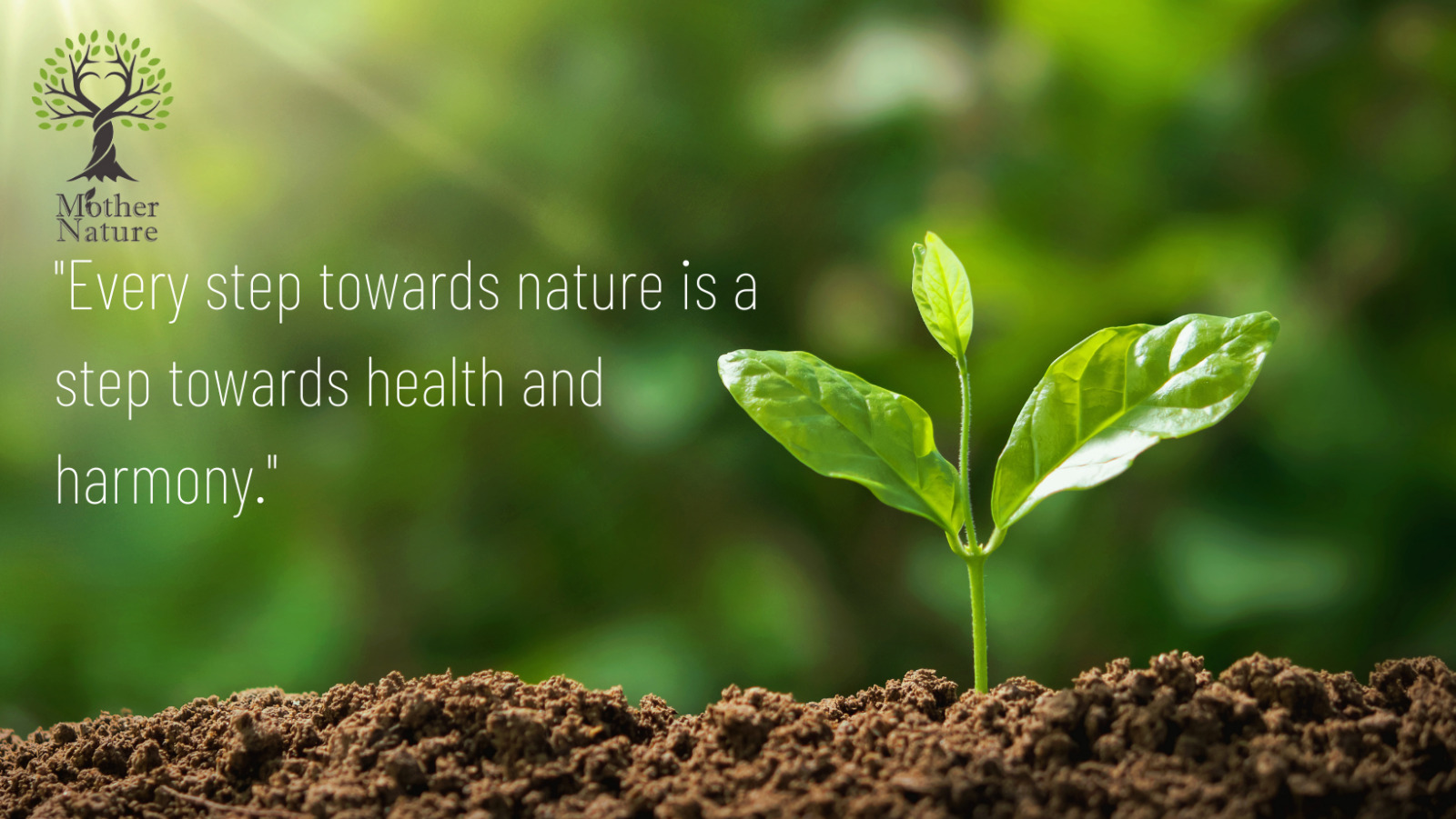 Vegan Probiotics Complex 10 Billion CFU