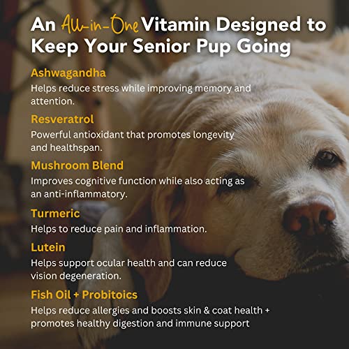 iHeartDogs Super 7 Anti-Aging Dog Multivitamin