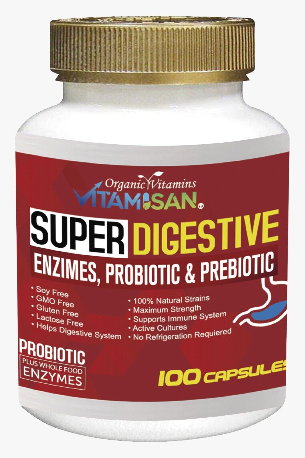 Digestive Support: Enzymes, Probiotics & Prebiotics