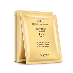Snail Essence Silk Facial Mask - Anti-Aging Boost