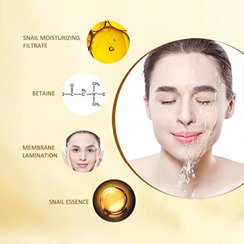 Snail Essence Silk Facial Mask - Anti-Aging Boost