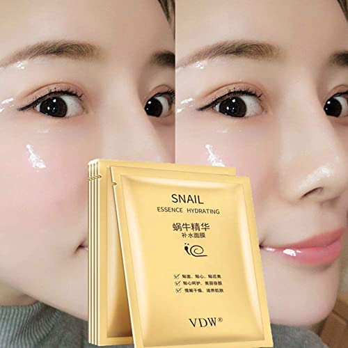 Snail Essence Silk Facial Mask - Anti-Aging Boost
