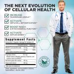 BioNAD NAD+ Booster for Energy and Anti Aging