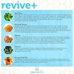 Microdermabrasion Facial Scrub with Manuka Honey