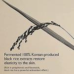 Haruharu WONDER Black Rice Hyaluronic Toner 5.1 oz