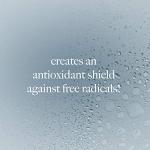 Dermalogica Age Smart Antioxidant HydraMist 150ml