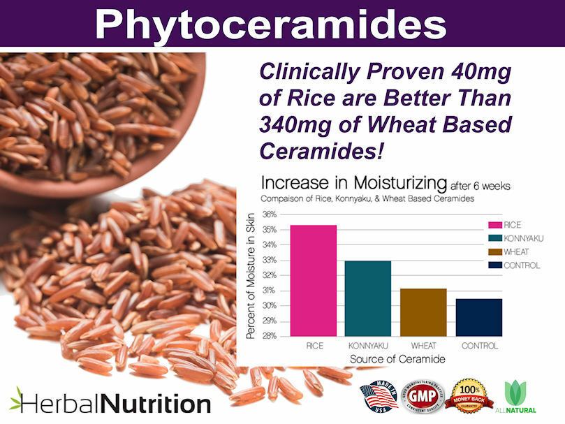 Anti-Aging Phytoceramides Capsules for Wrinkles