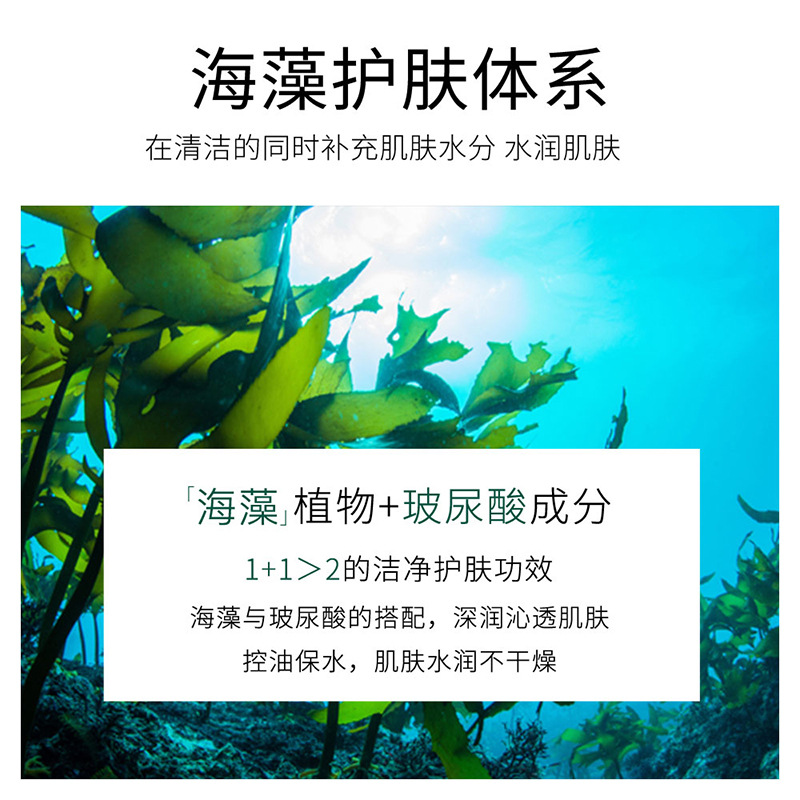 Seaweed Hyaluronic Acid Anti-Aging Face Cleanser