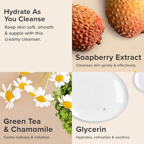Paula's Choice Hydrating Cleanser for Dry Skin
