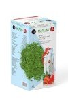 Japanese Matcha Tea - Antioxidant Detox Blend