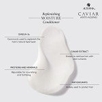 Alterna Anti-Aging Moisture Conditioner, 33.8 oz