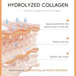 Snail Mucin Anti-Aging Skin Care Set