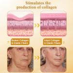 Bee Venom Anti-Wrinkle Cream Duo for All Skin Types