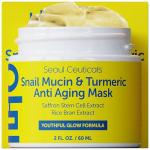 SeoulCeuticals Snail Mucin Turmeric Face Mask
