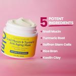 SeoulCeuticals Snail Mucin Turmeric Face Mask