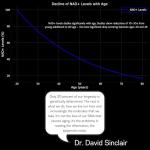 Longevity Anti-Aging NAD+ Supplement for Vitality