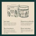 Napiers Ageless Day Cream with Speedwell & Seaweed