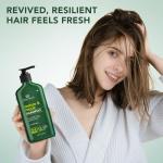 Restore & Repair Shampoo with Tea Tree & Hyaluronic Acid