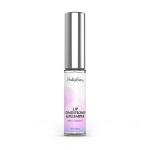 Hollyberry Lip Booster with Vitamin E and Argan Oil