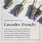 Pure Lavender Essential Oil - Relax and Nourish