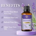 Organic Lavender Essential Oil - 30ml Pure Relaxation