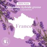 Lavender Essential Oil 118 ml - 100% Pure